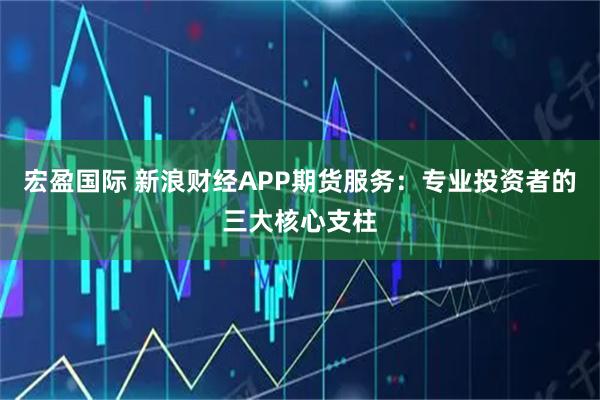 宏盈国际 新浪财经APP期货服务：专业投资者的三大核心支柱