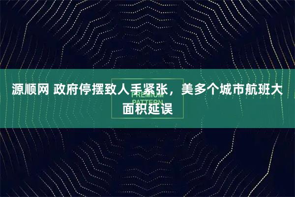 源顺网 政府停摆致人手紧张，美多个城市航班大面积延误