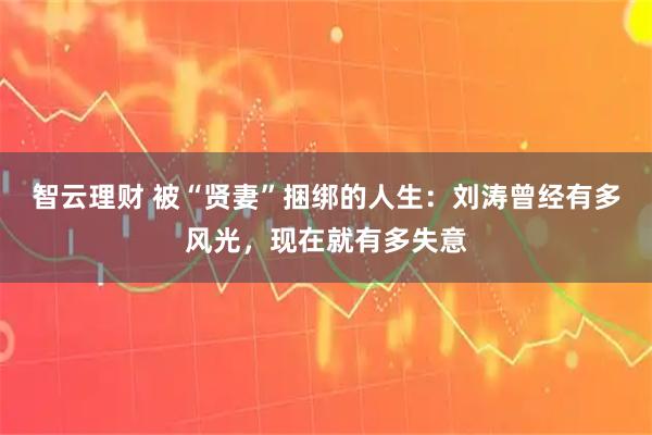 智云理财 被“贤妻”捆绑的人生：刘涛曾经有多风光，现在就有多失意